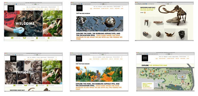 page_web_examples.jpg