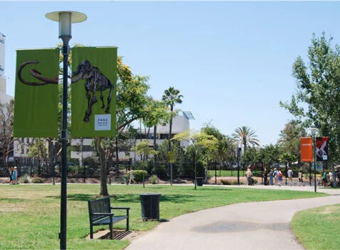 page_parkNEW.jpg