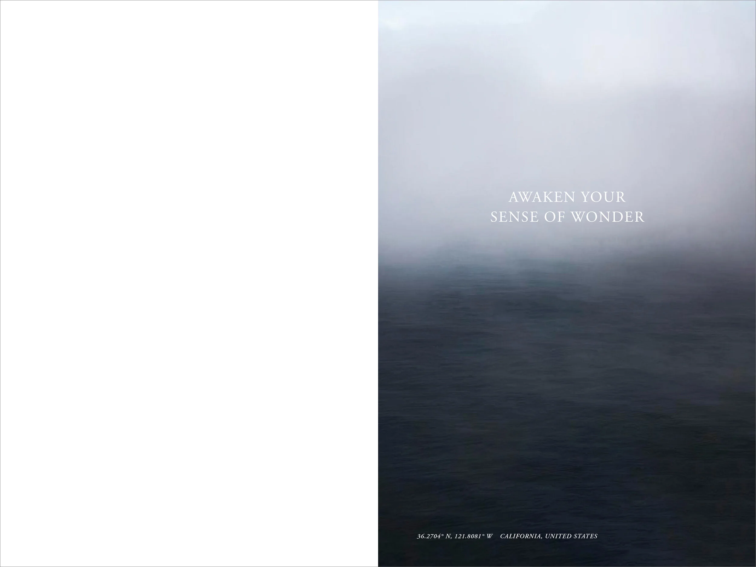 Viking_Silverbook_WIP_AROMA-16.jpg
