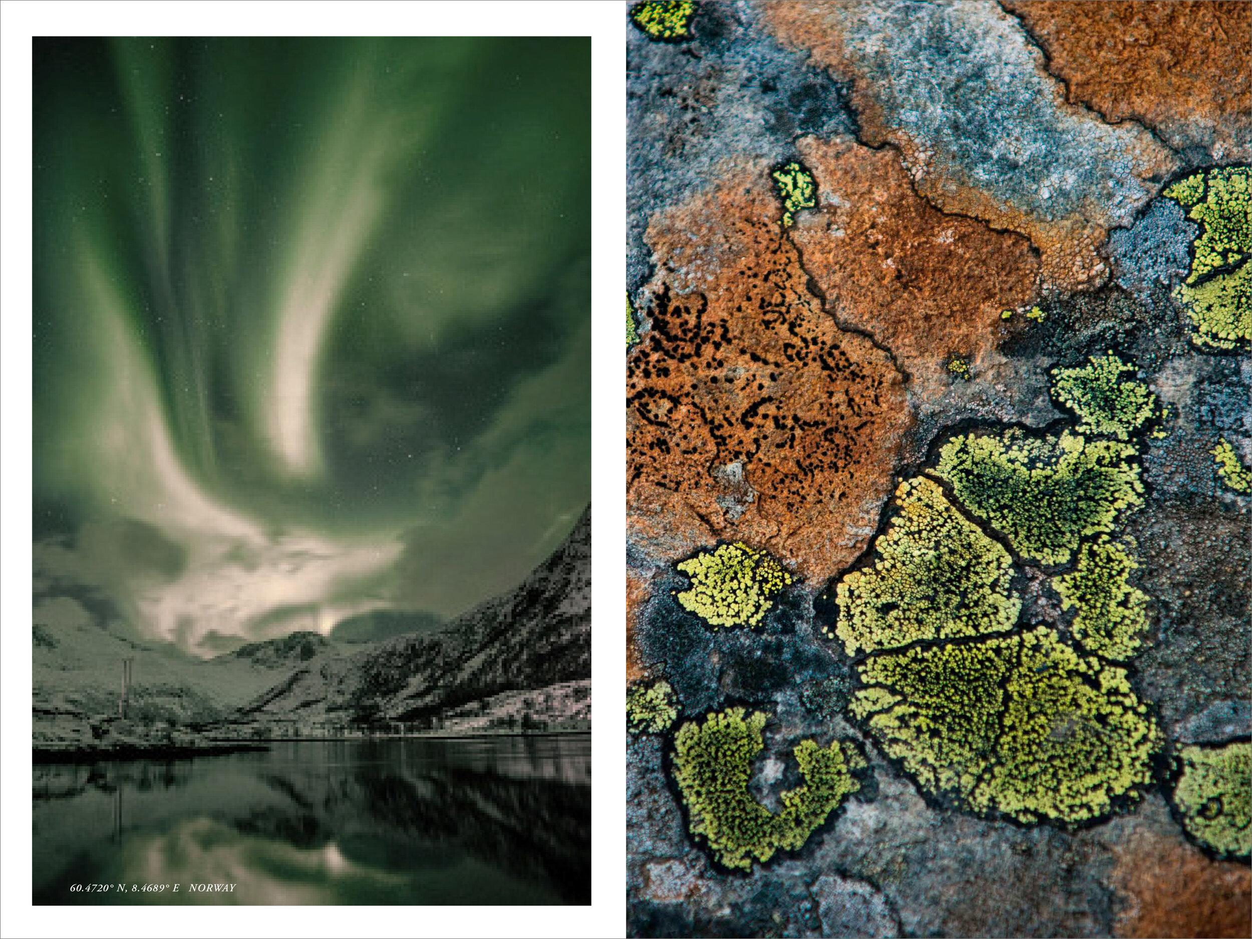 Viking_Silverbook_WIP_AROMA-17.jpg