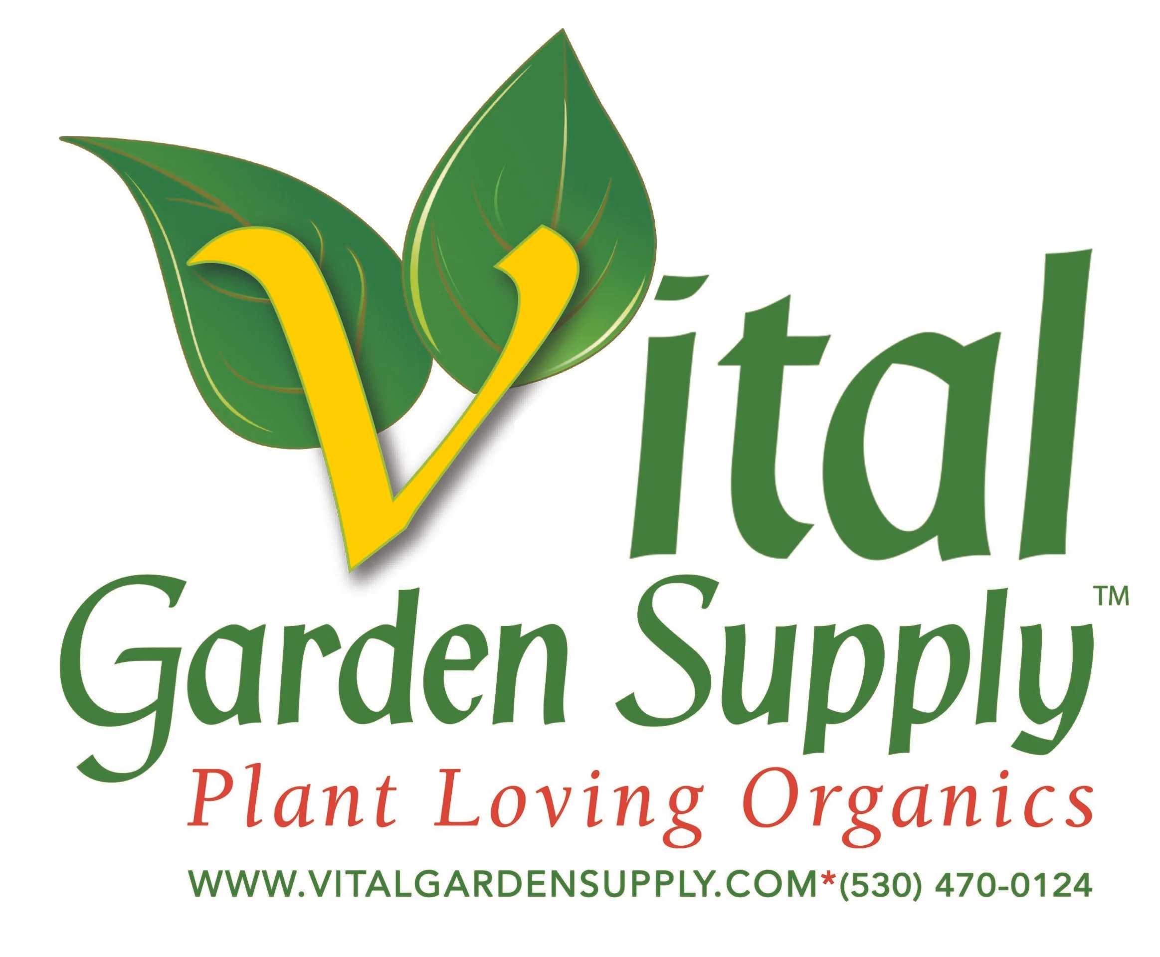 VGS_LOGO_SQUARE-High.jpg