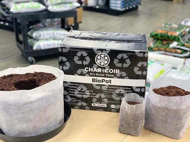 Been wondering what&rsquo;s up with the @charcoir #BioPots? They&rsquo;re a full package: compressed coco and container in one. Just hydrate and go! And with increasing sizes it&rsquo;s easy to transplant directly into a larger pot when necessary. Ch