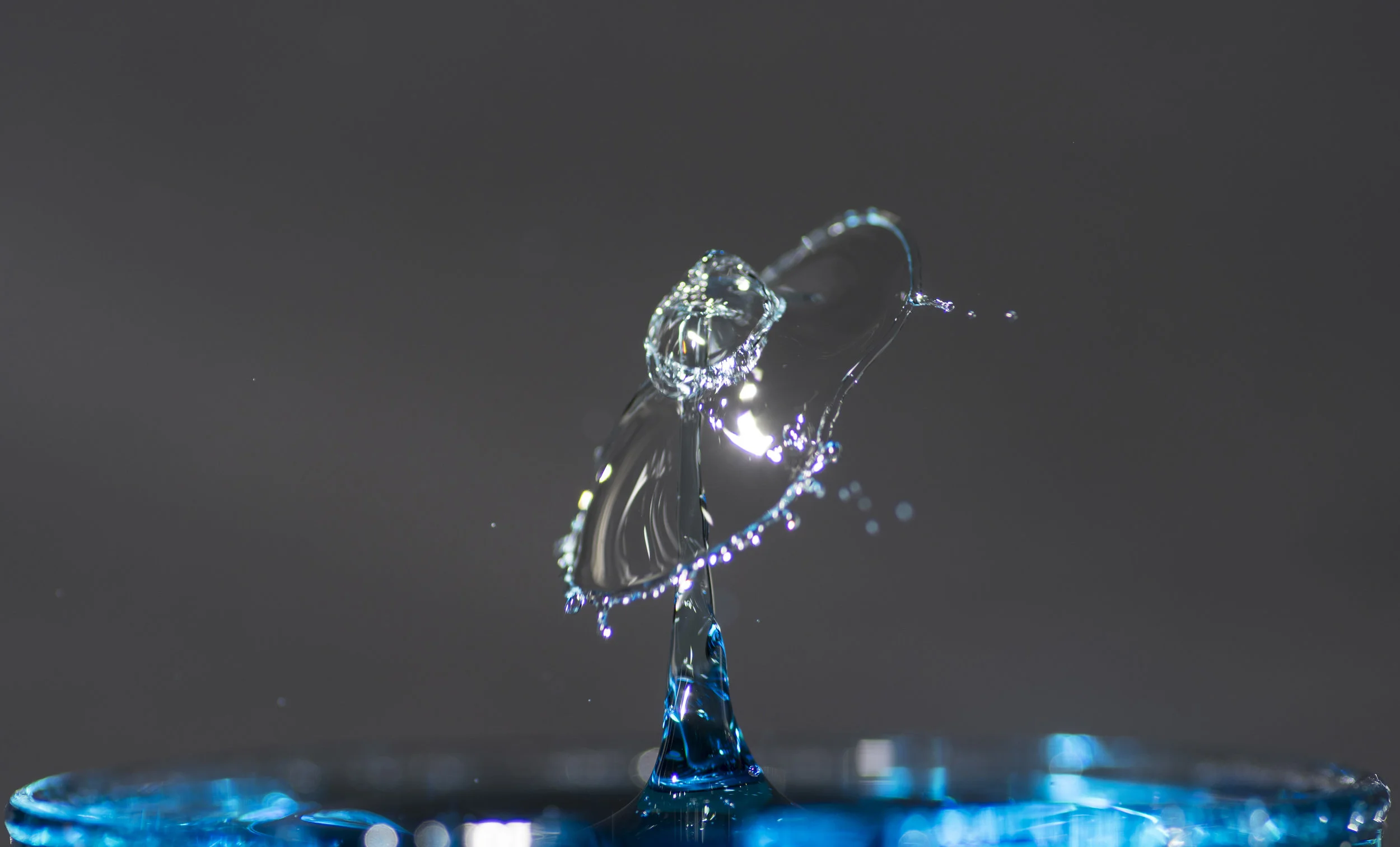 DSC_6236.jpg