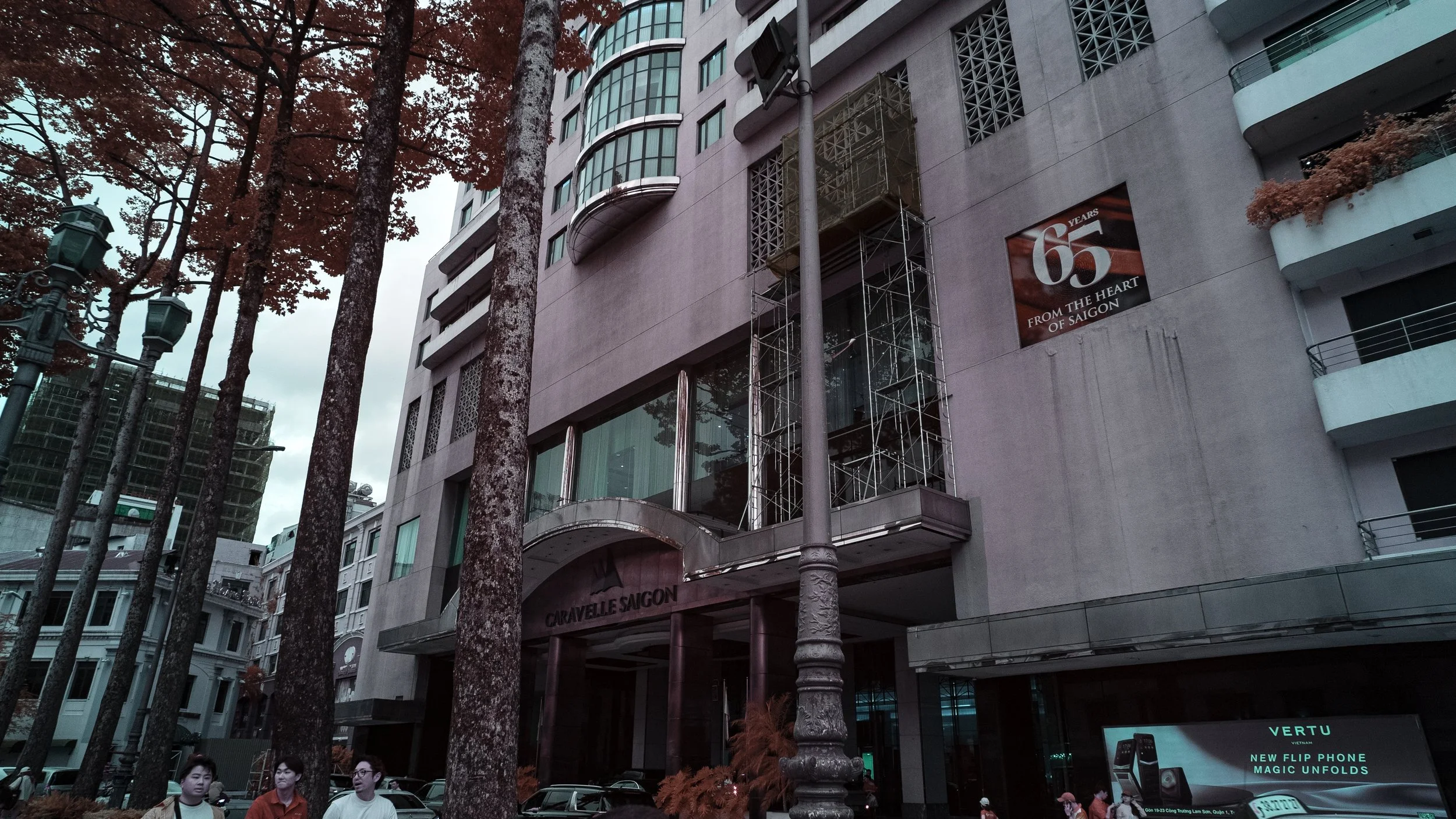 DSC02338.jpg