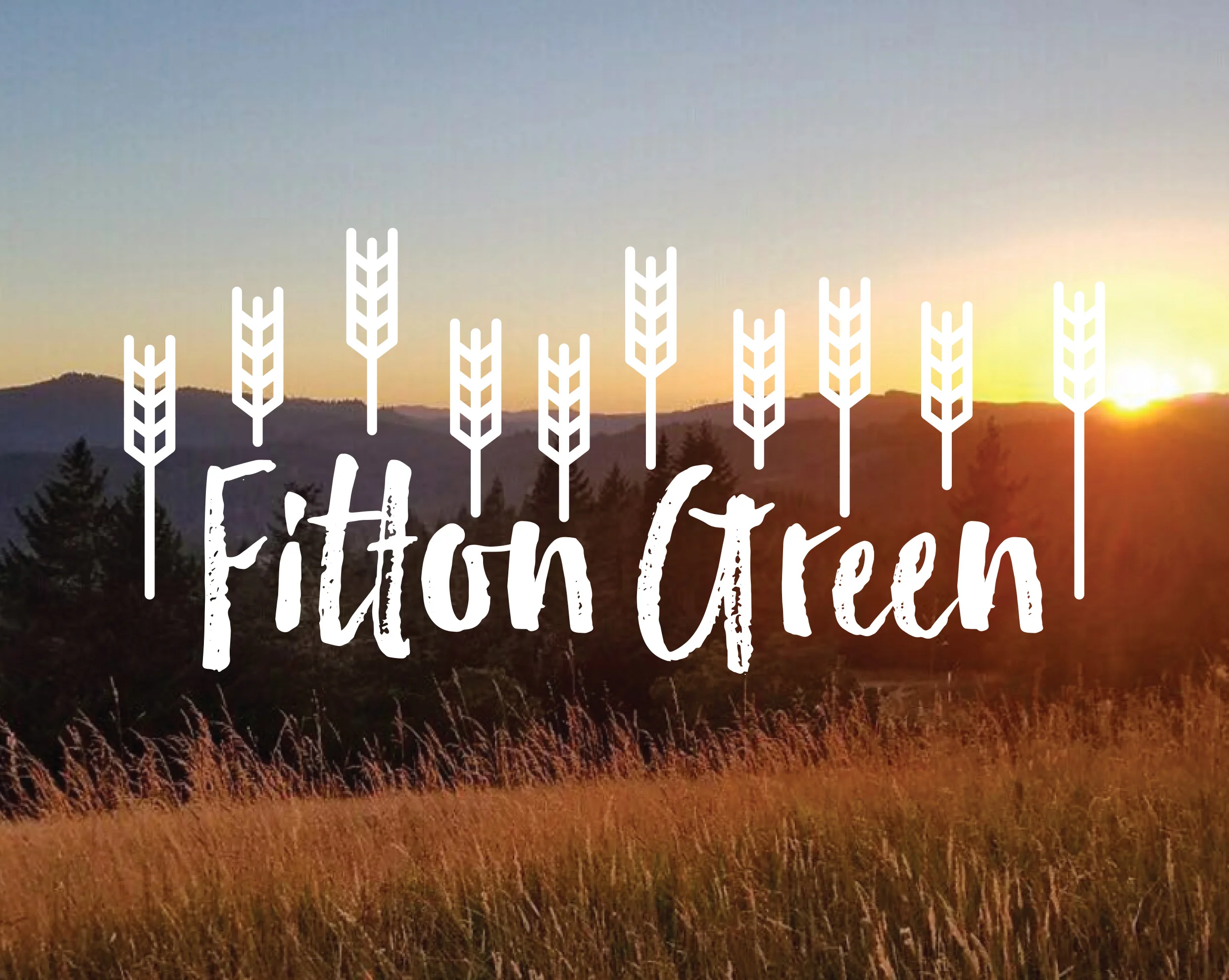fitton cover.jpg