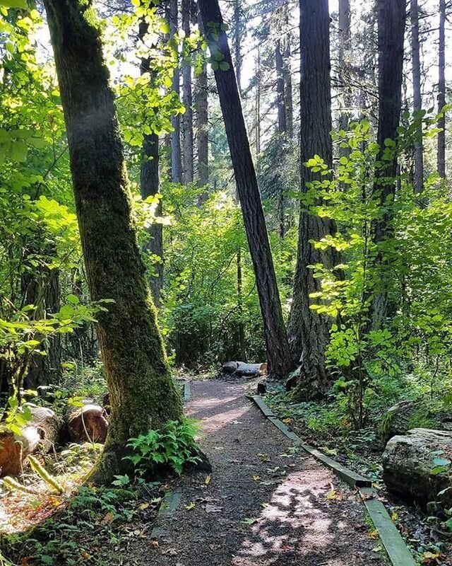 The sun finally peaked out a little bit yesterday and it was perfect for a nice run. Anyone else get out and adventure this weekend?