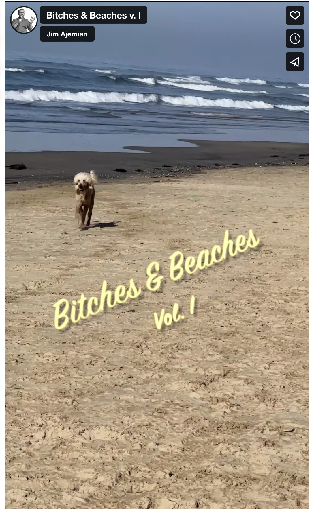 Bitches & Beaches v. I (Copy)