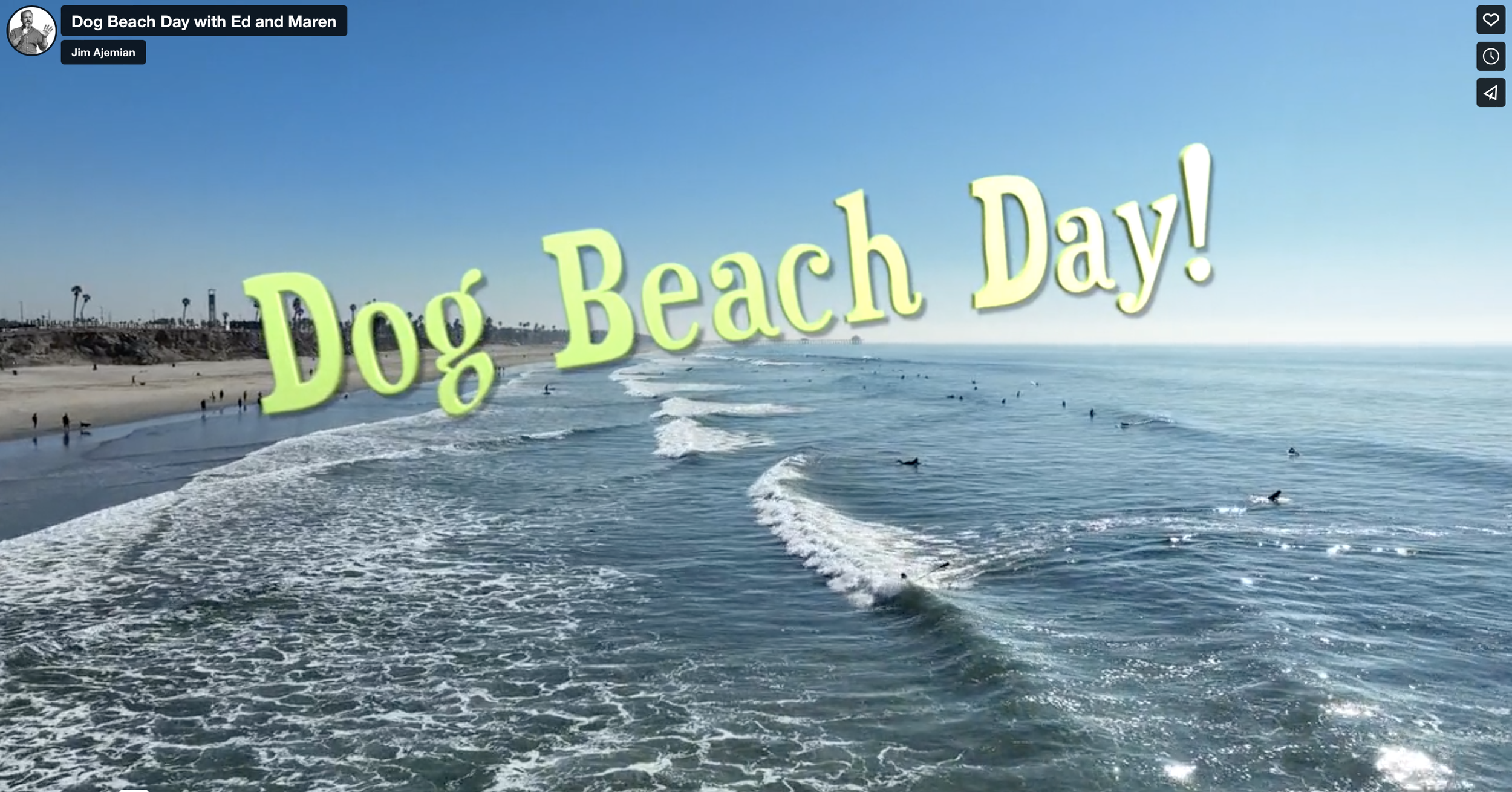 Dog Beach Day with Ed and Maren (Copy)