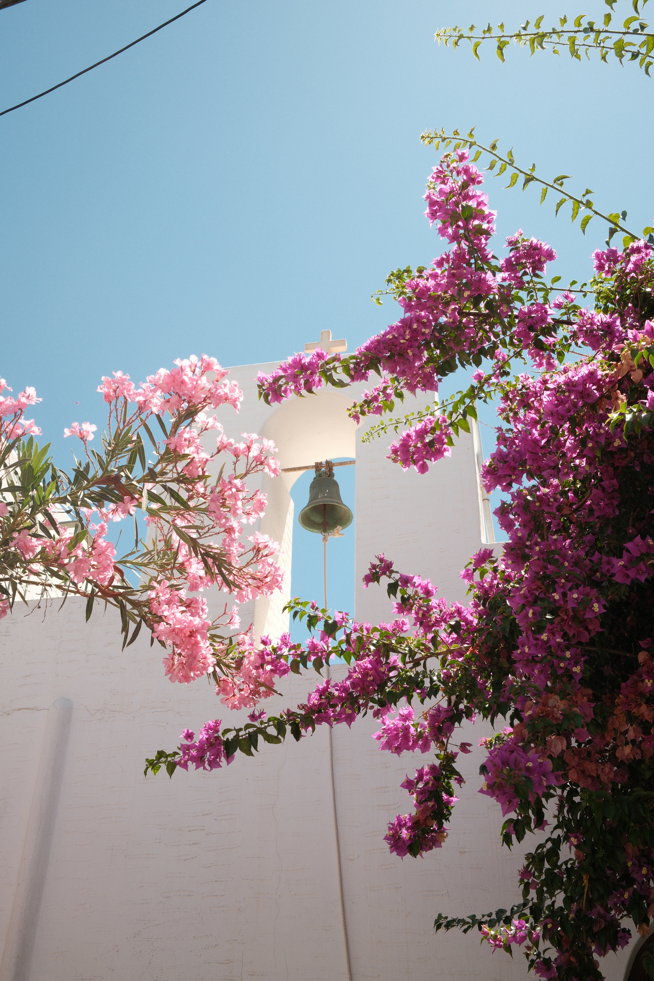 DSCF0569.png