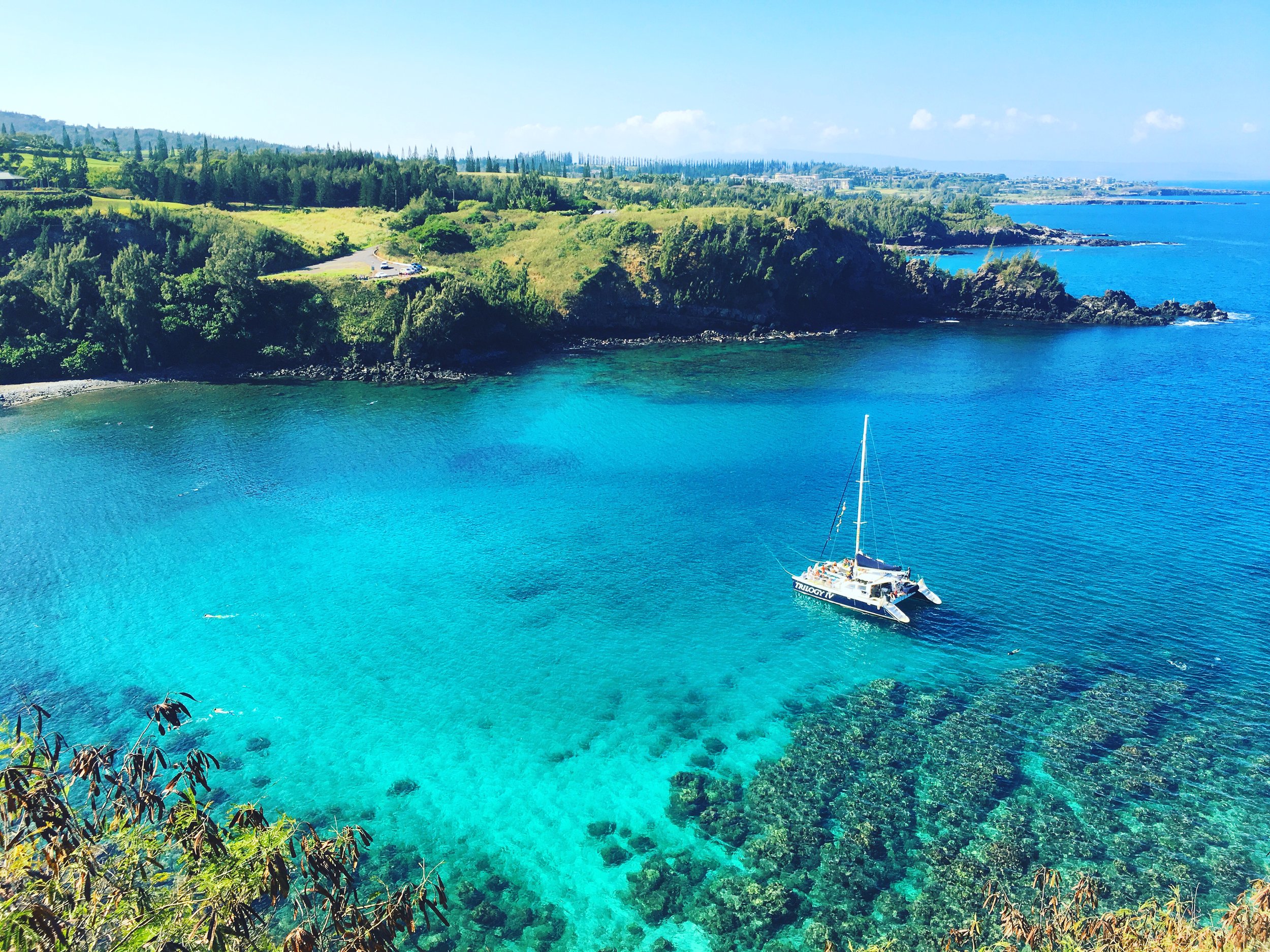 Honolua Bay Maui