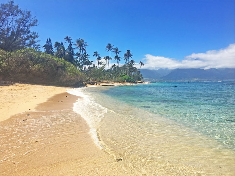 Central Maui Beaches