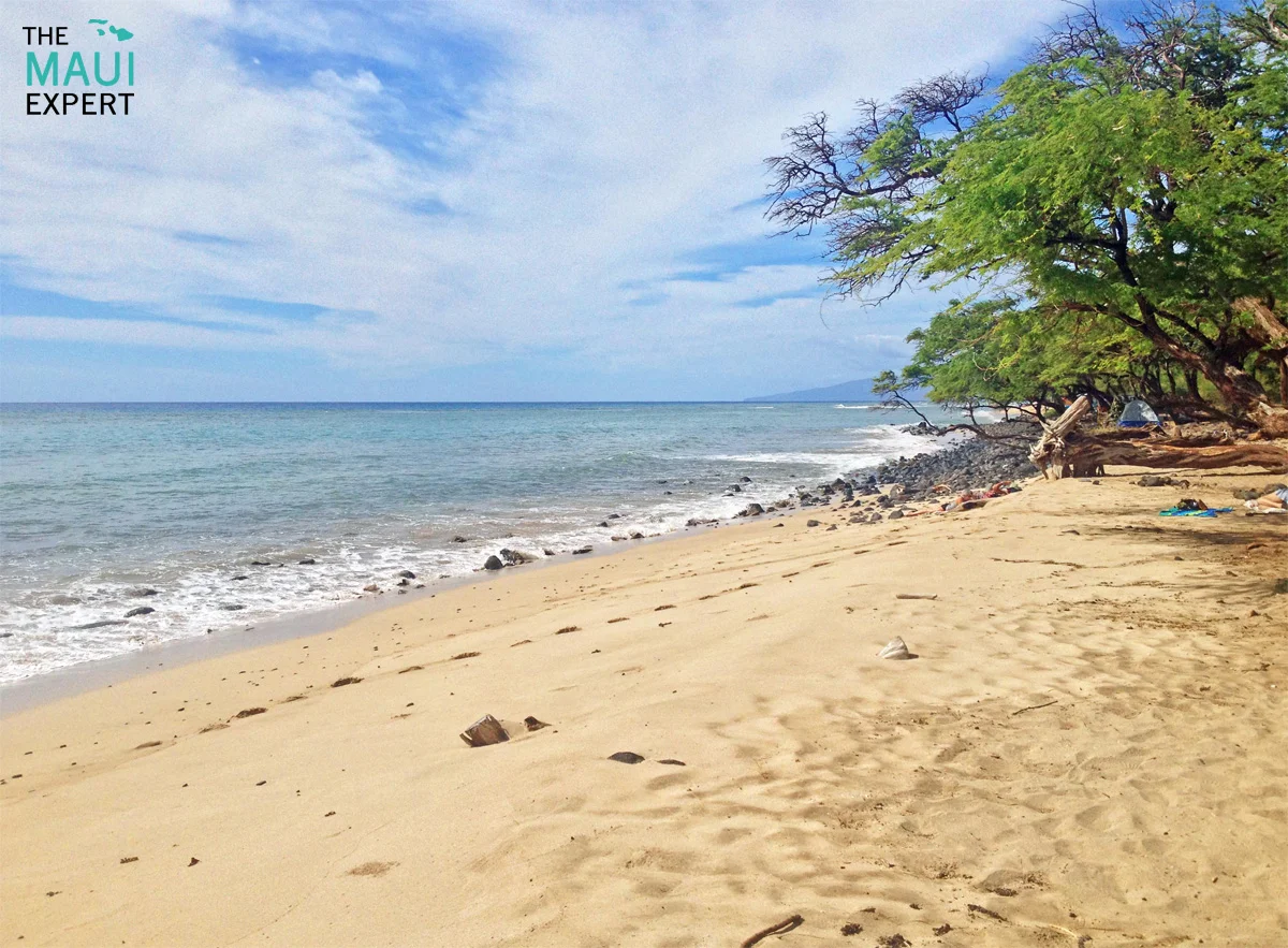 Papalaua Wayside Park Thousand Peaks Maui 