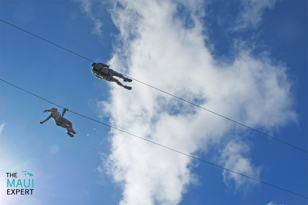 Ziplining On Maui.jpg