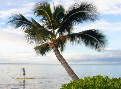 Standup Paddling