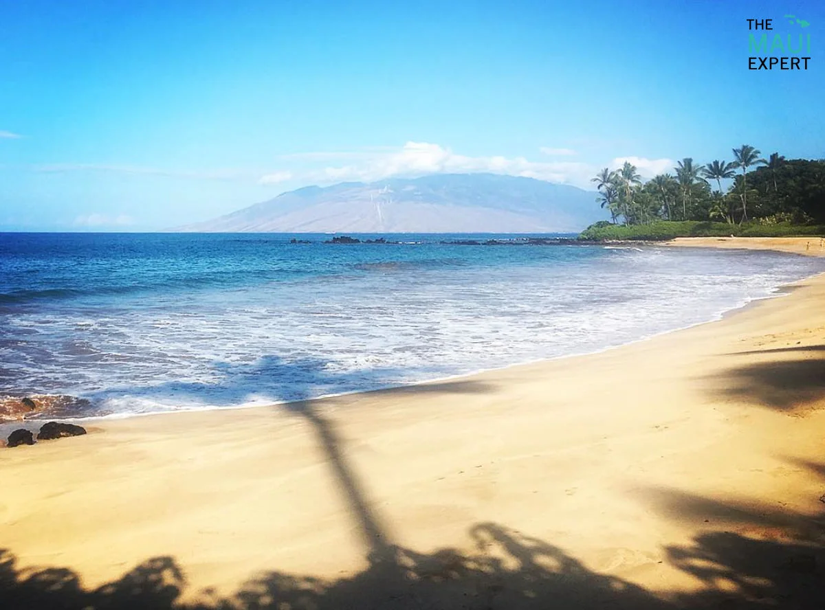 The Maui Expert Palauea Beach The Maui Expert Palauea Beach
