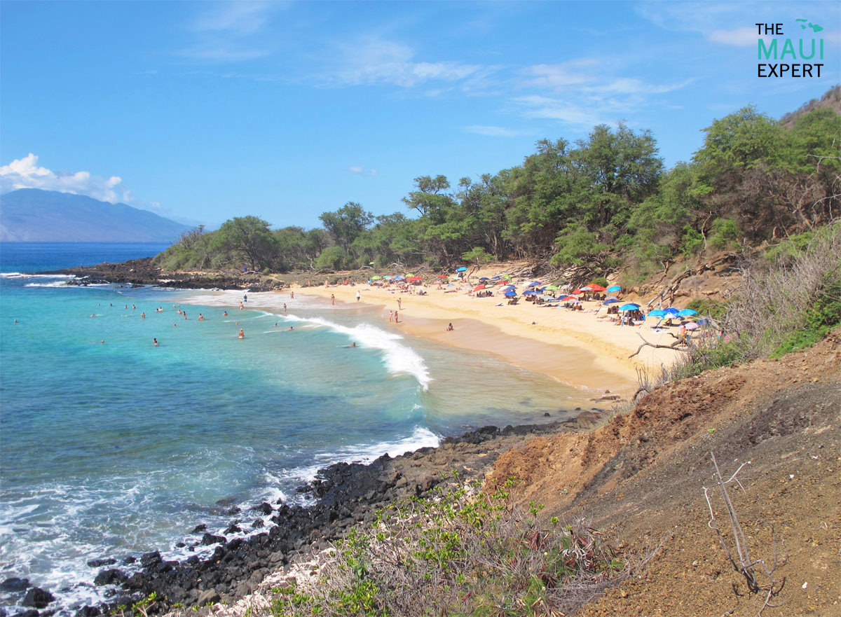 The Maui Expert — Little Beach