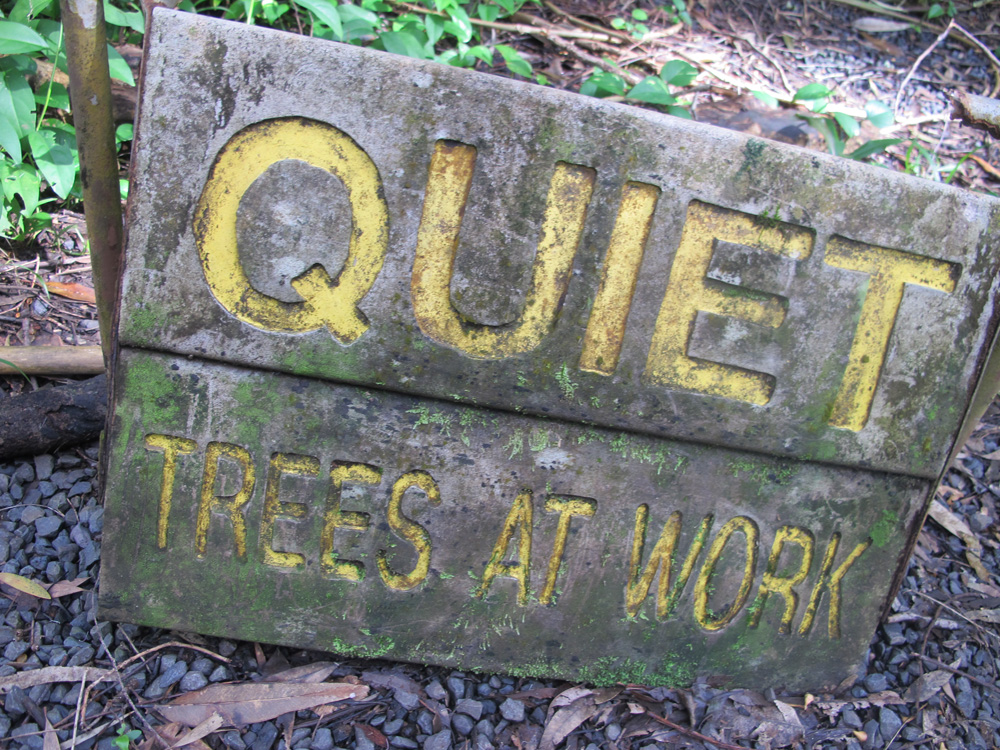 Treees Working.jpg