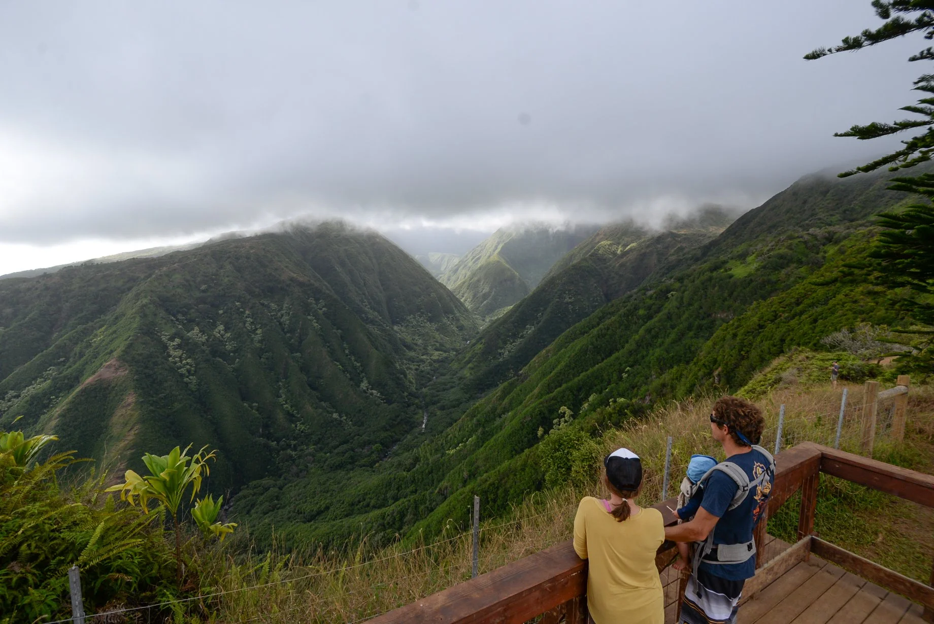 Waihee Ridge Lookout.jpg