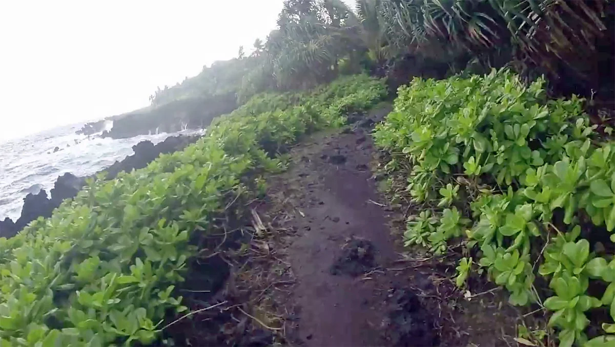 Coastal Trail Thumb.jpg