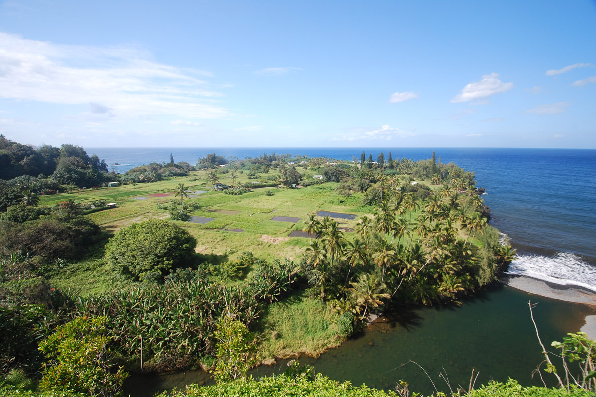 Mastering The Hana Highway—How To Do It Right “The Road To Hana.” It’s a four-word phrase that, for many people, elicits four-letter responses… read more