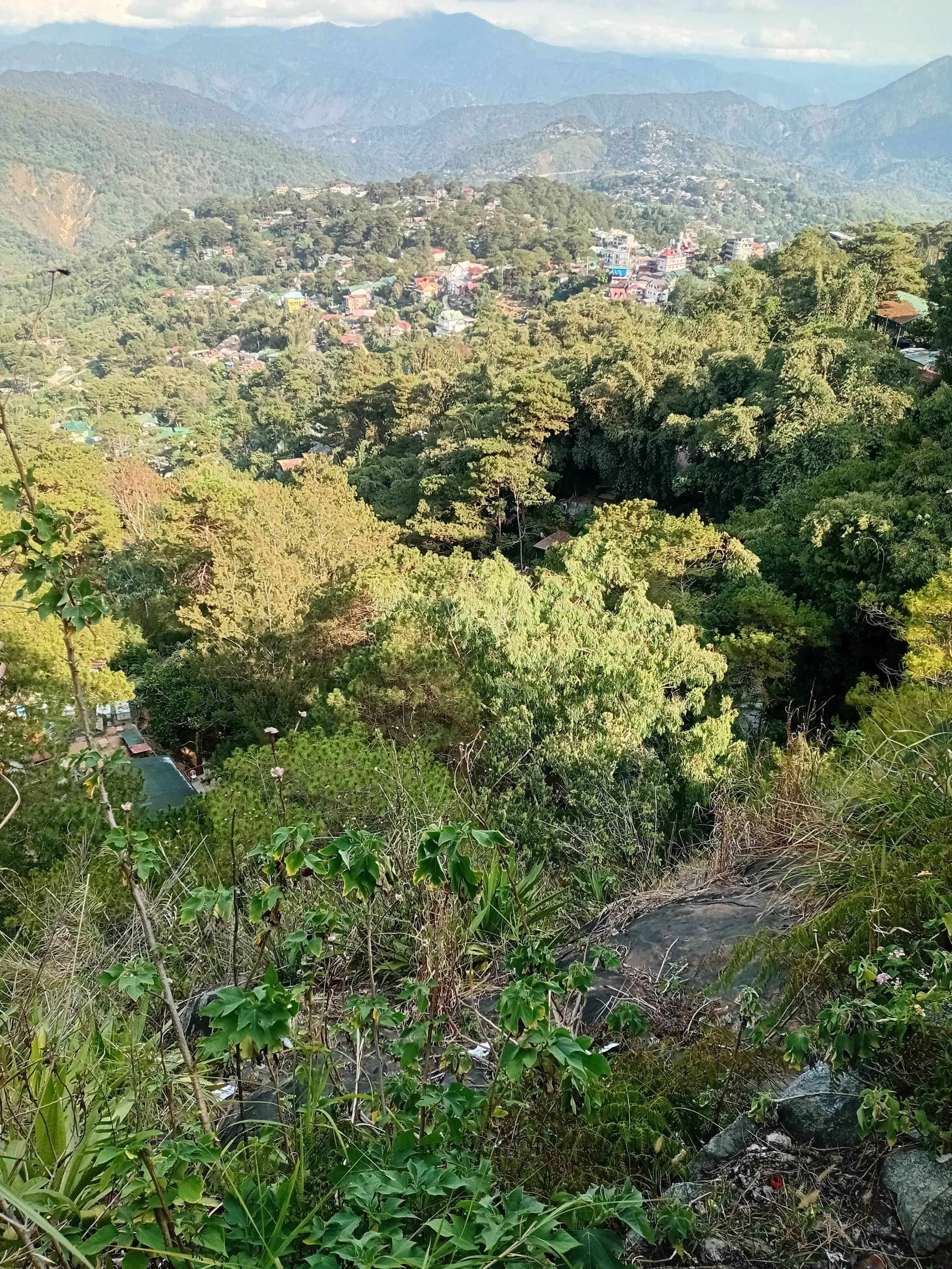 20250320_155641.jpg