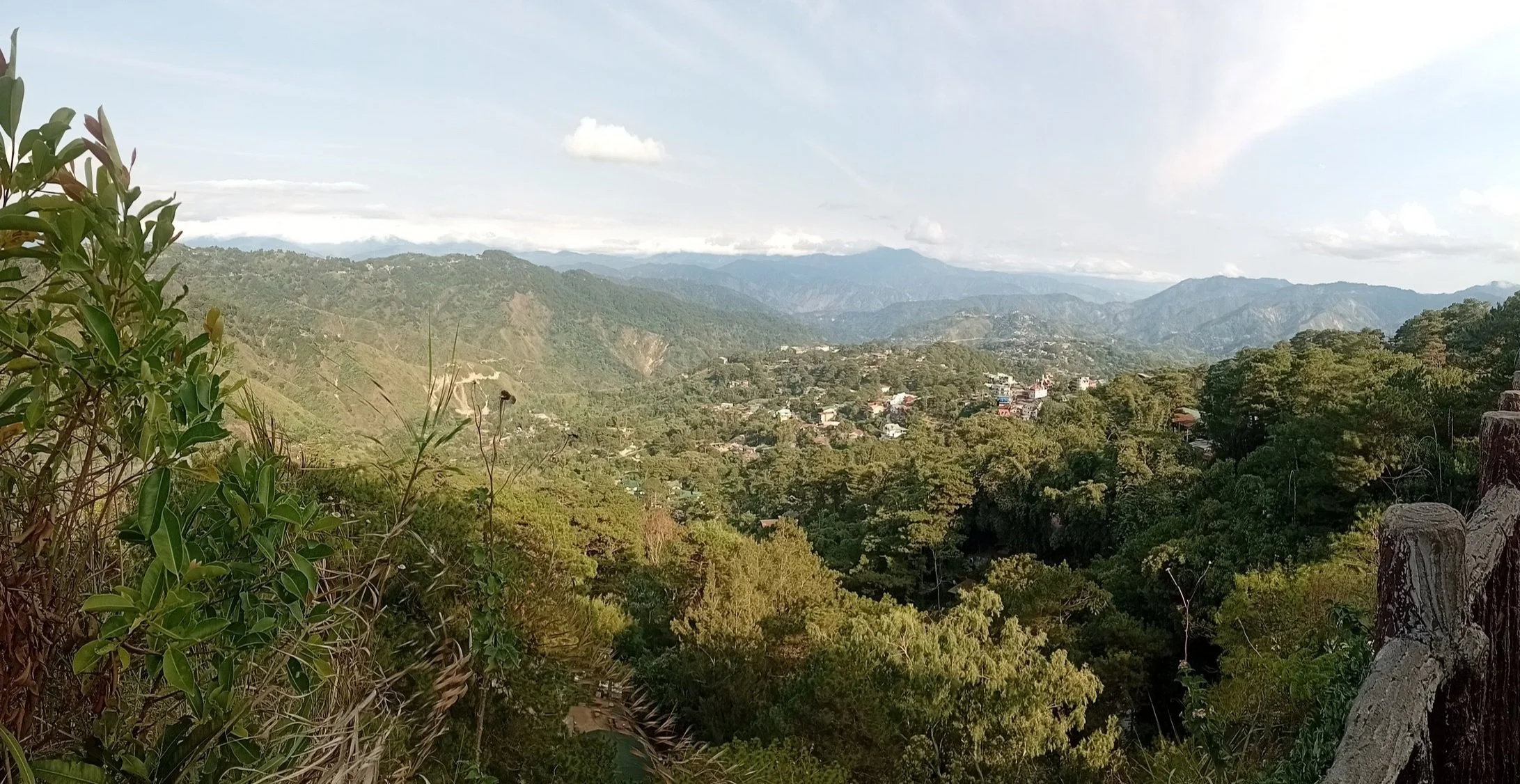 20250320_160801.jpg