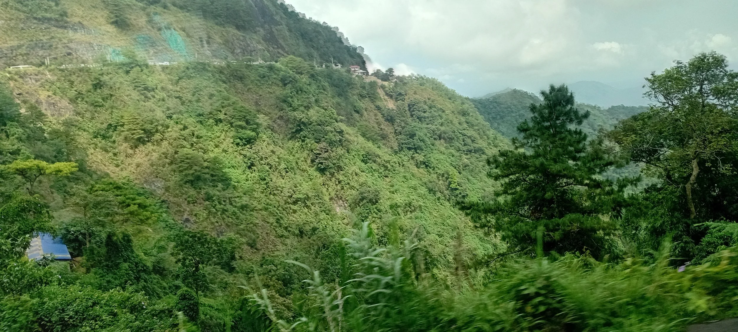 20250322_095116.jpg