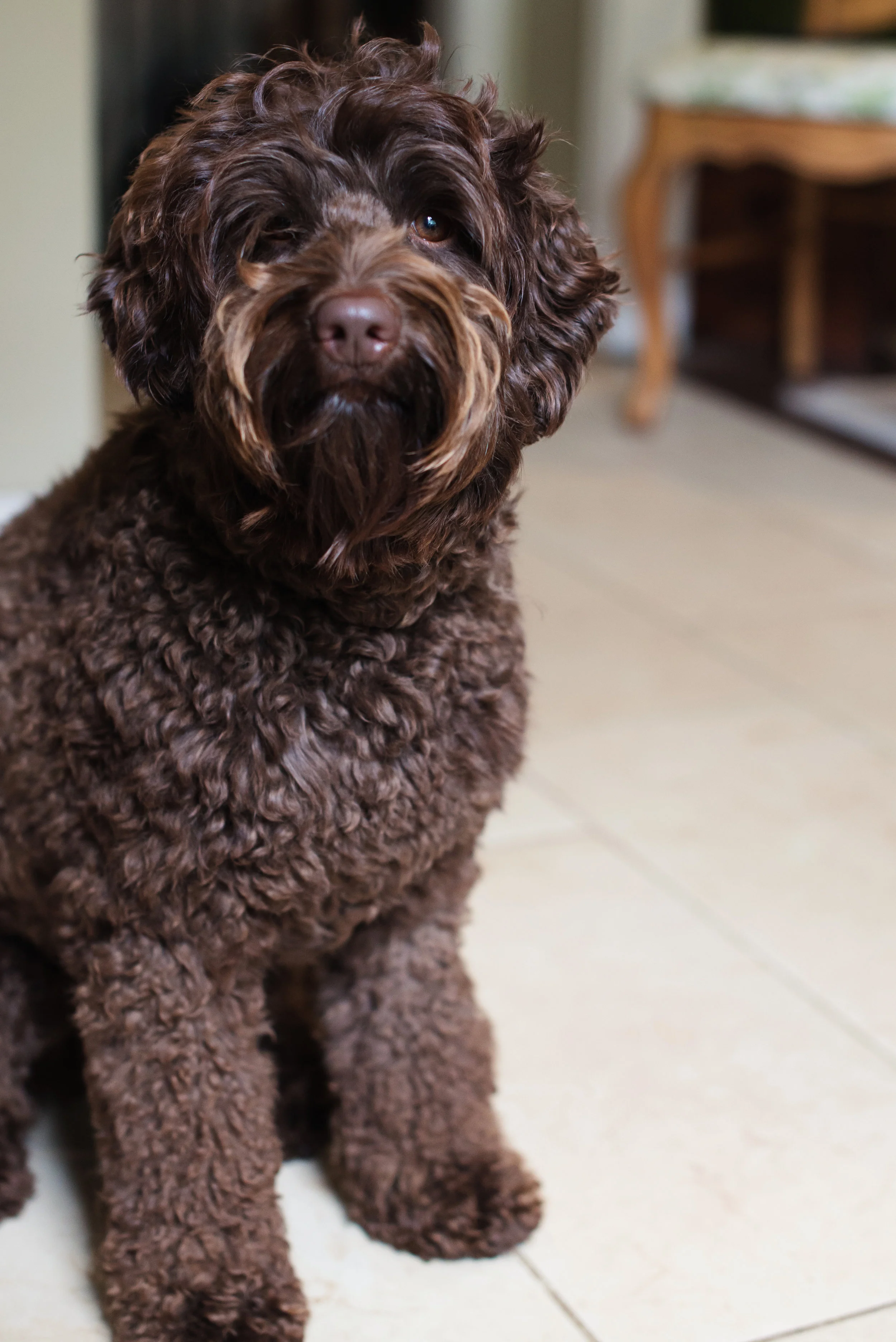 DSC_16561.jpeg