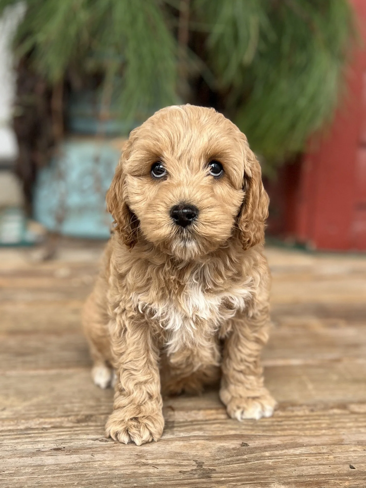 thumbnail_IMG_2019-3.jpg