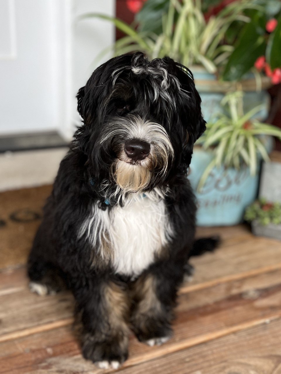 thumbnail_IMG_4712.jpg