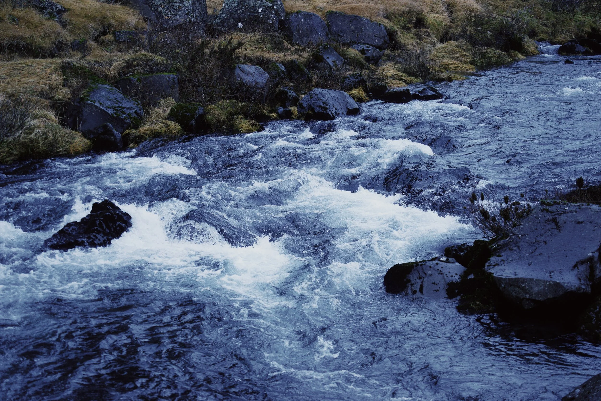 58402C5F-157B-4FFE-BC47-B0AFF7625C7C.JPG