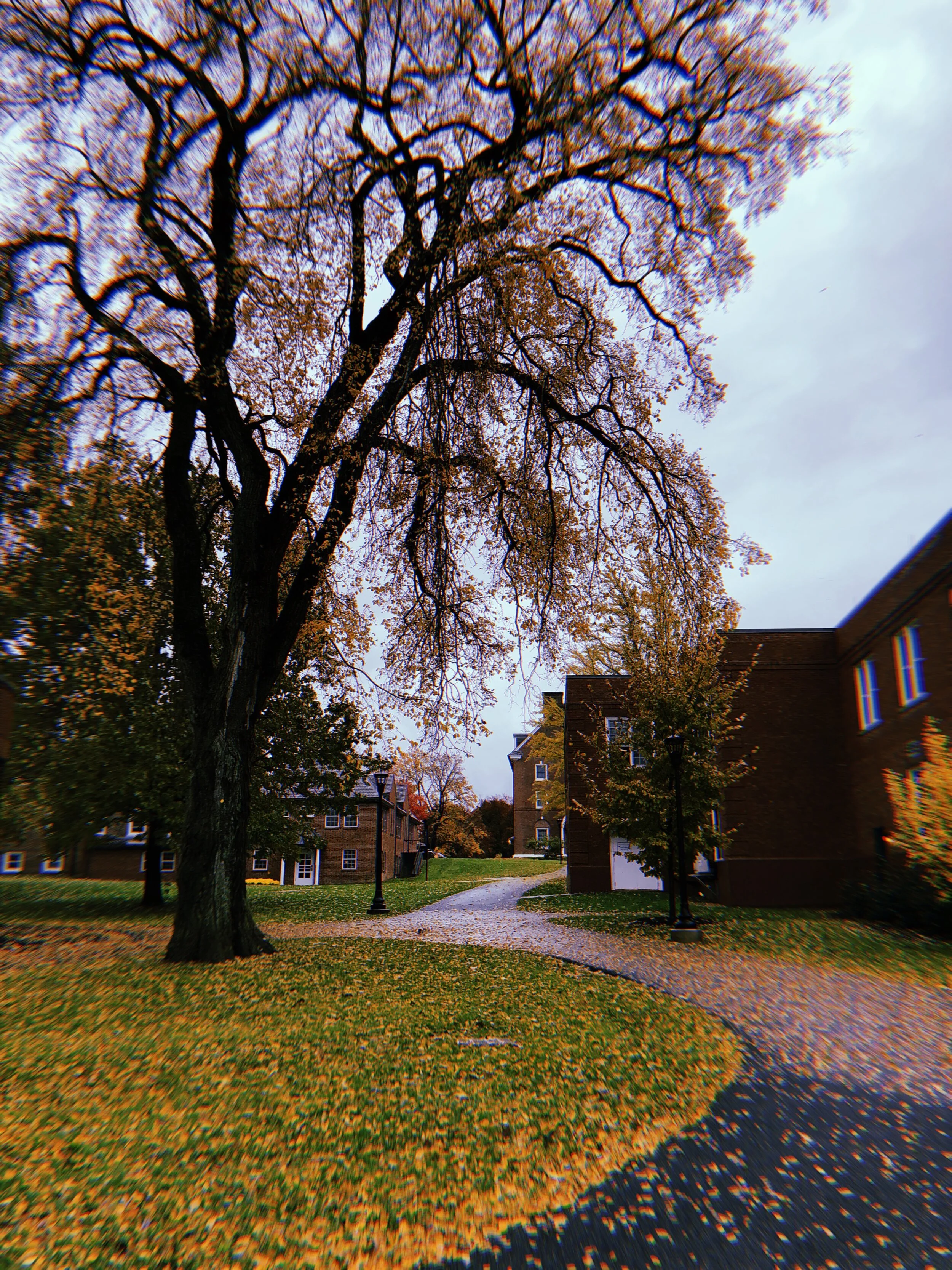 2018-11-03 11:04:19.454.JPG