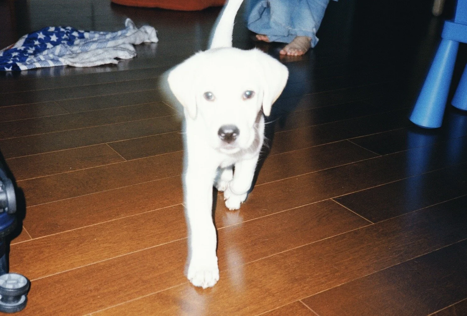 IMG_8046.JPG