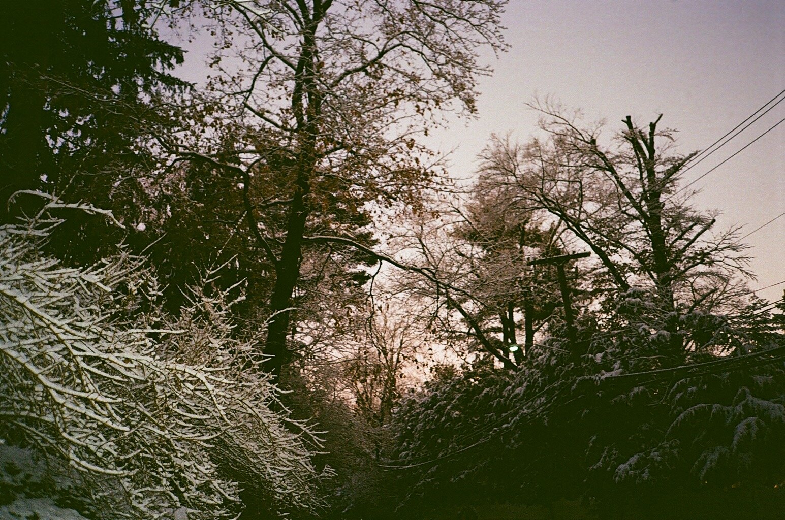 000275540025.JPG