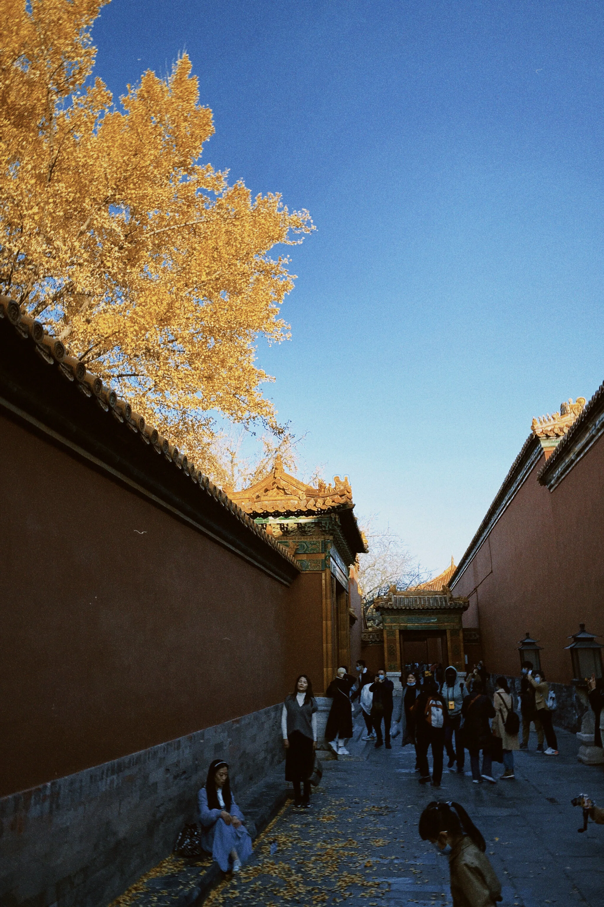 classicu 2020-11-12 160318.098.JPG