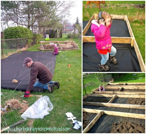 raisedgardenbeds.jpg