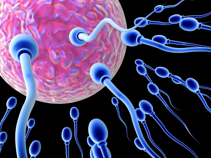 Conception.jpg