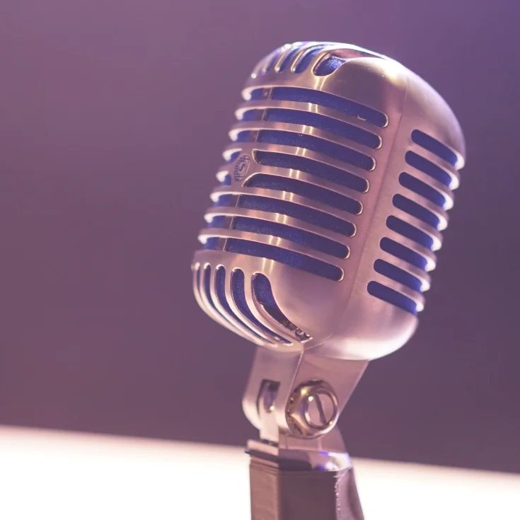 The Pros and Cons to Using Dictation to Write Your Novel