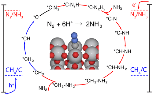 The proposed carbon-mediated catalytic cycle for photocatalytic nitrogen fixation. Surface-bound carbon radical species are generated by photo-oxidation of adventitous hydrocarbons on the surface of TiO2. These reactive carbon species efficiently bind dinitrogen, and subsequent reduction occurs through photo-generated electrons.