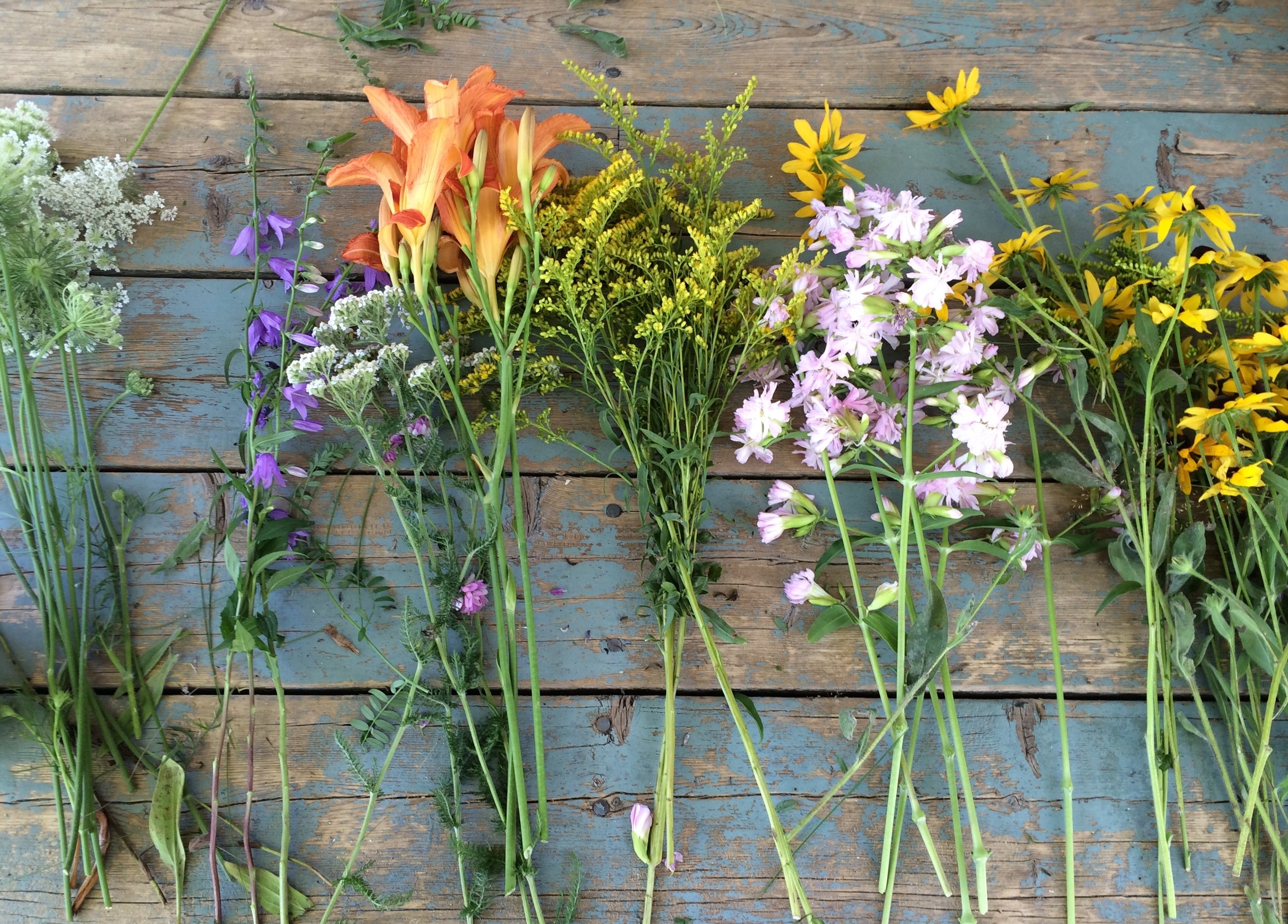 foraged flower stems 