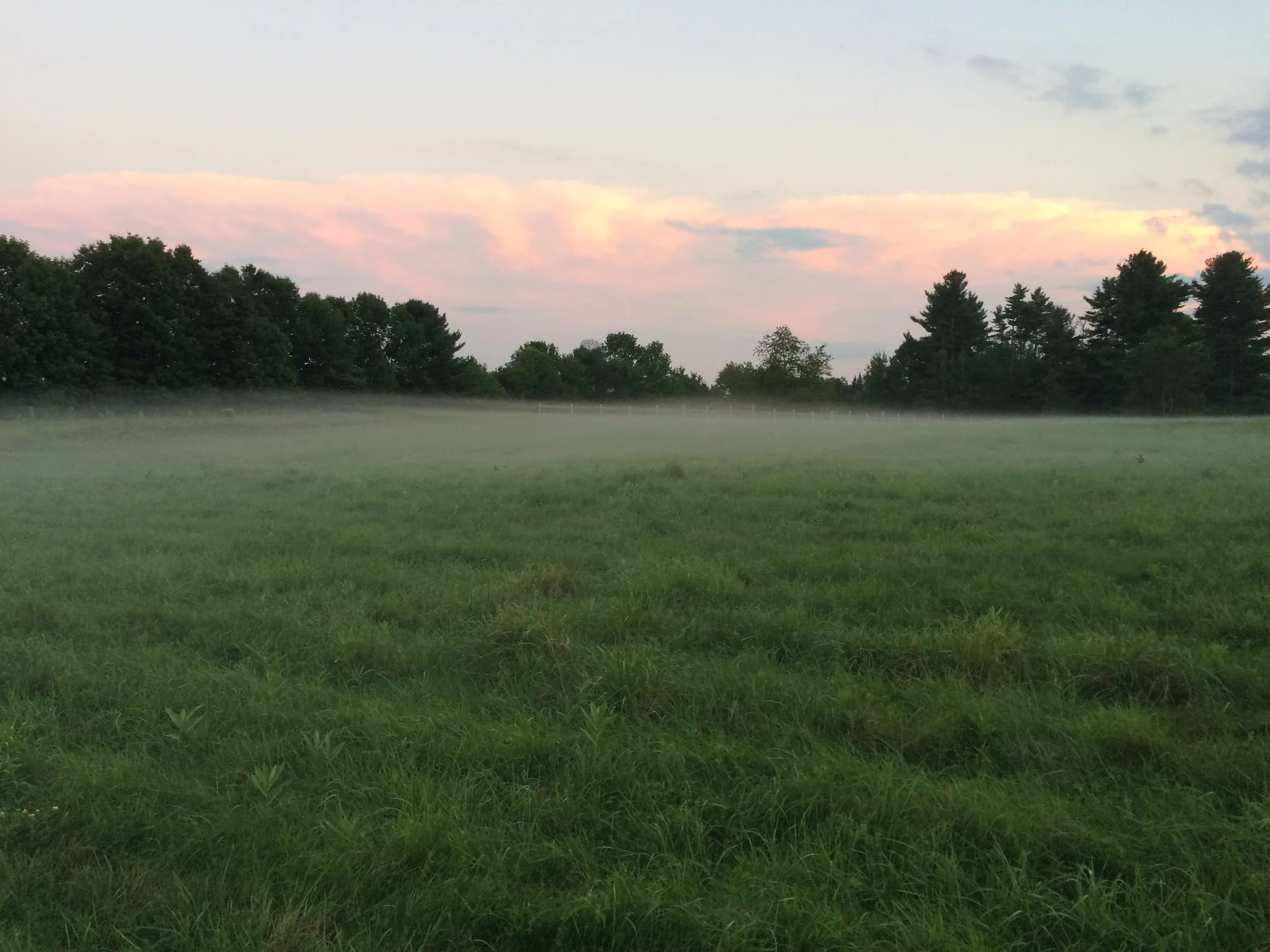 Mark's iPhone Pictures (Nov 2015 Download) 1250.JPG