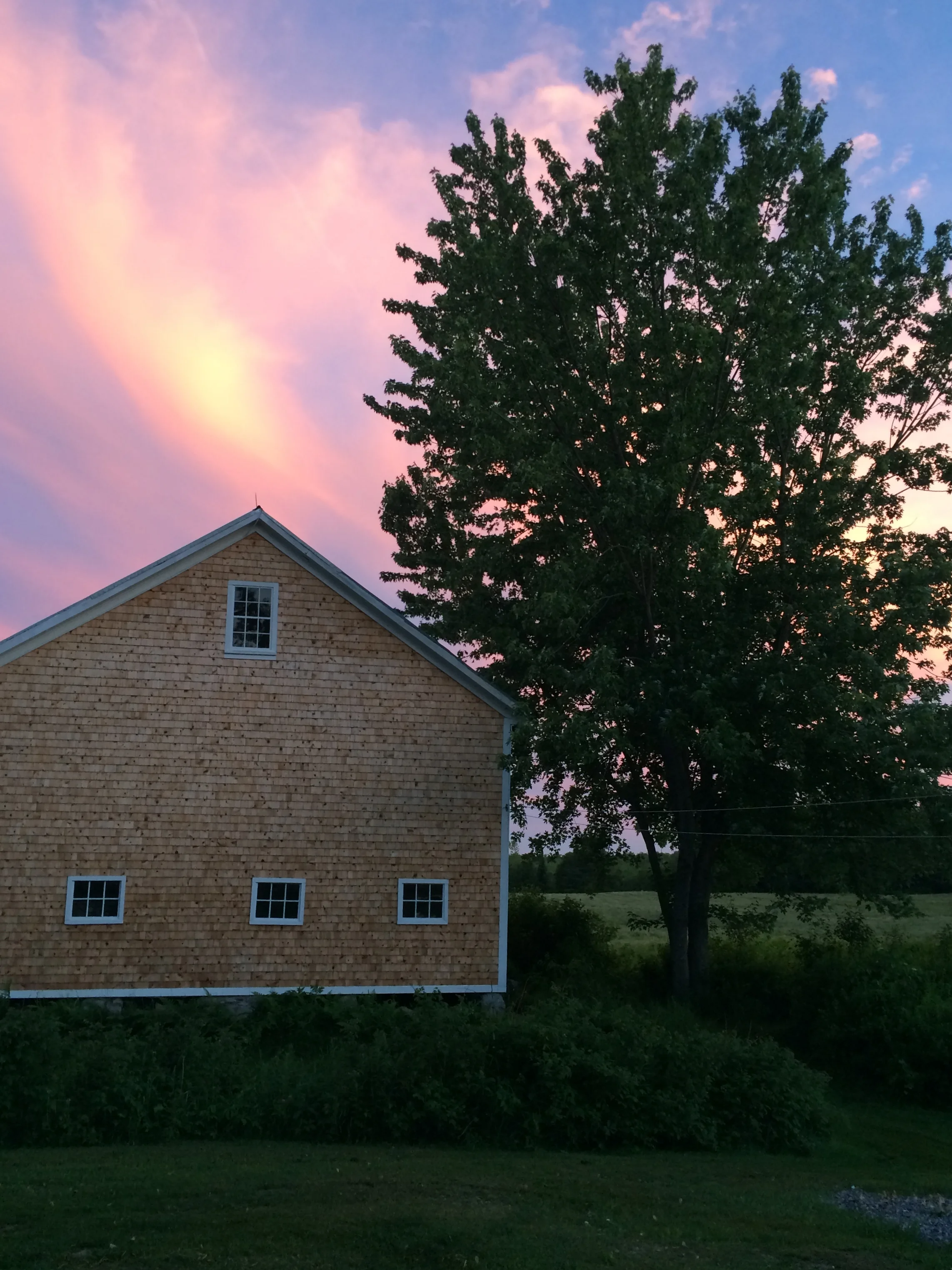 Sarah's iphone 11.23.15 173.JPG