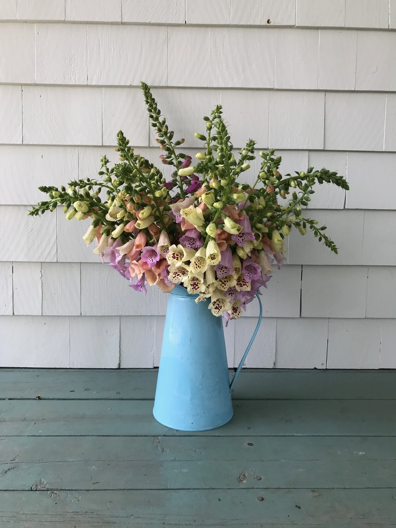 vase of foxgloves in blue pitcher