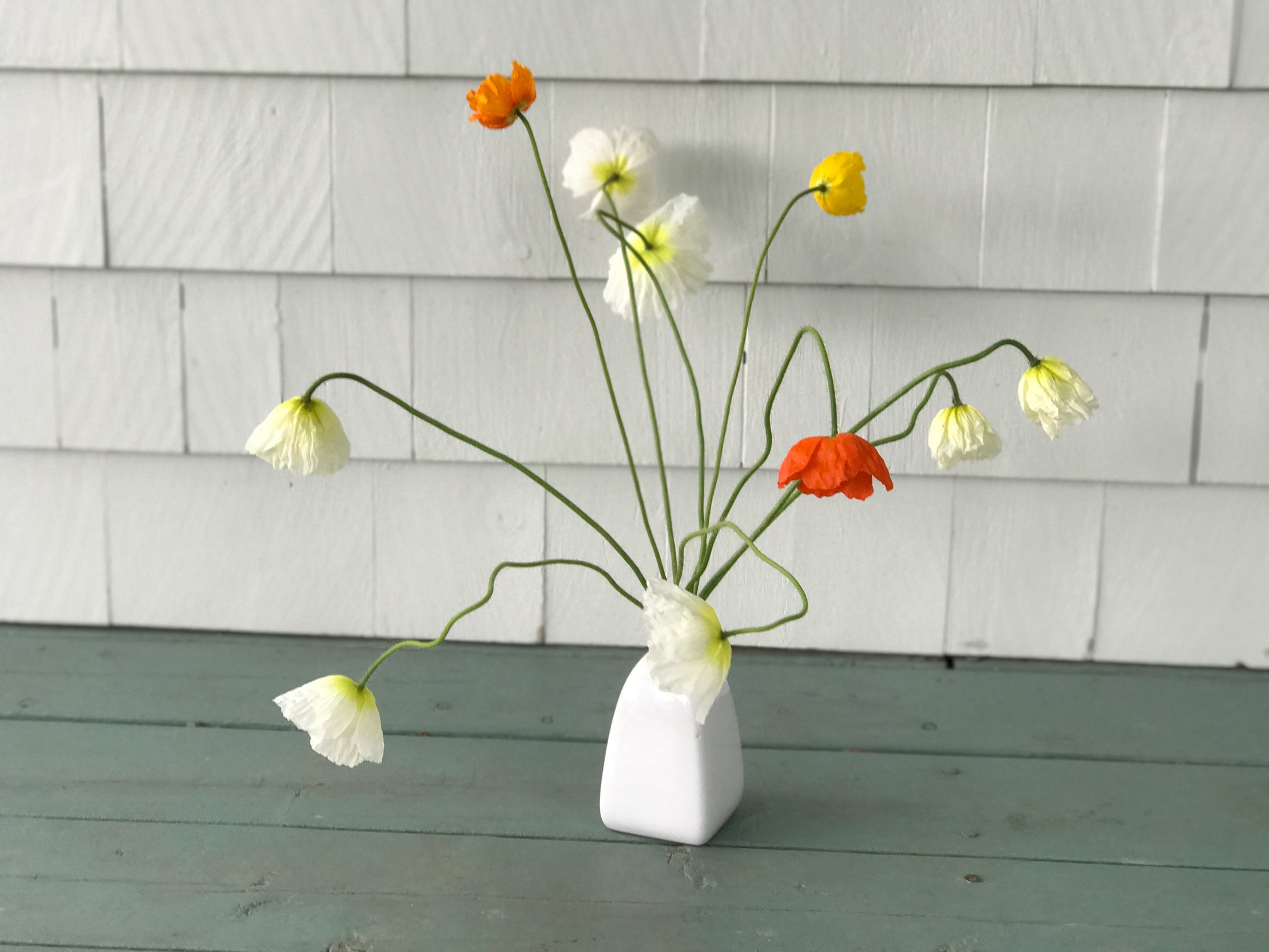 vase of funky icelandic poppies