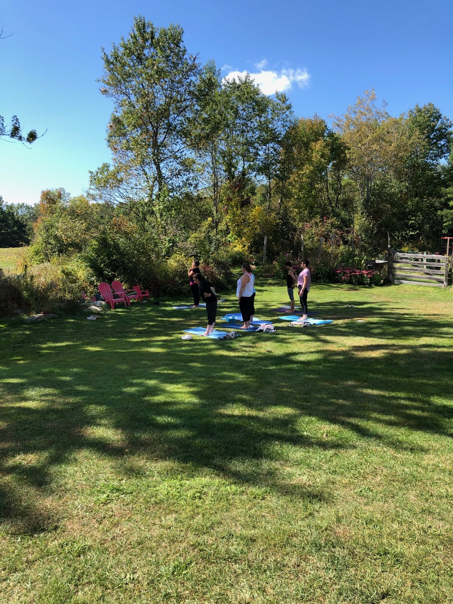 yoga on the farm during a private workshop