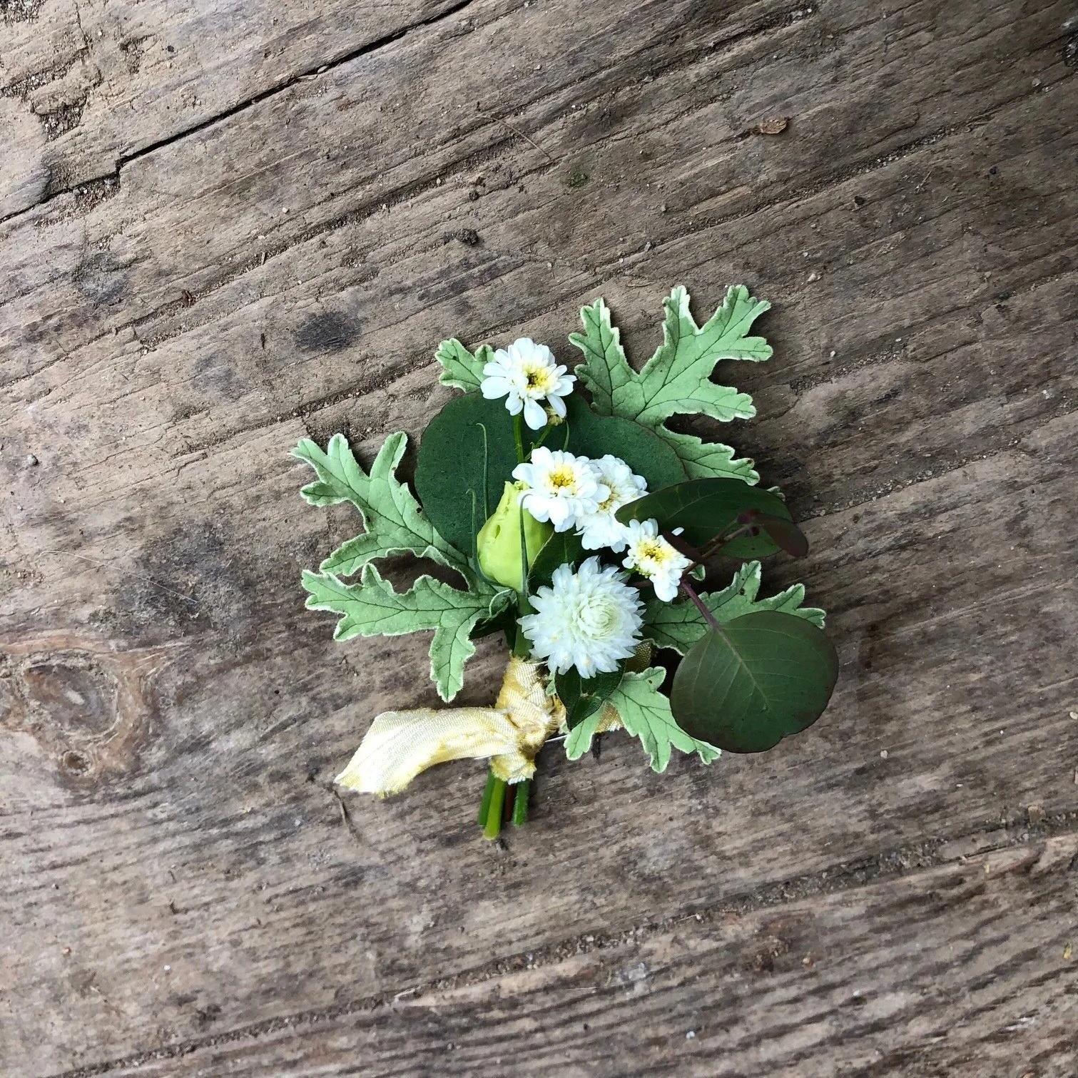 White and green boutonniere