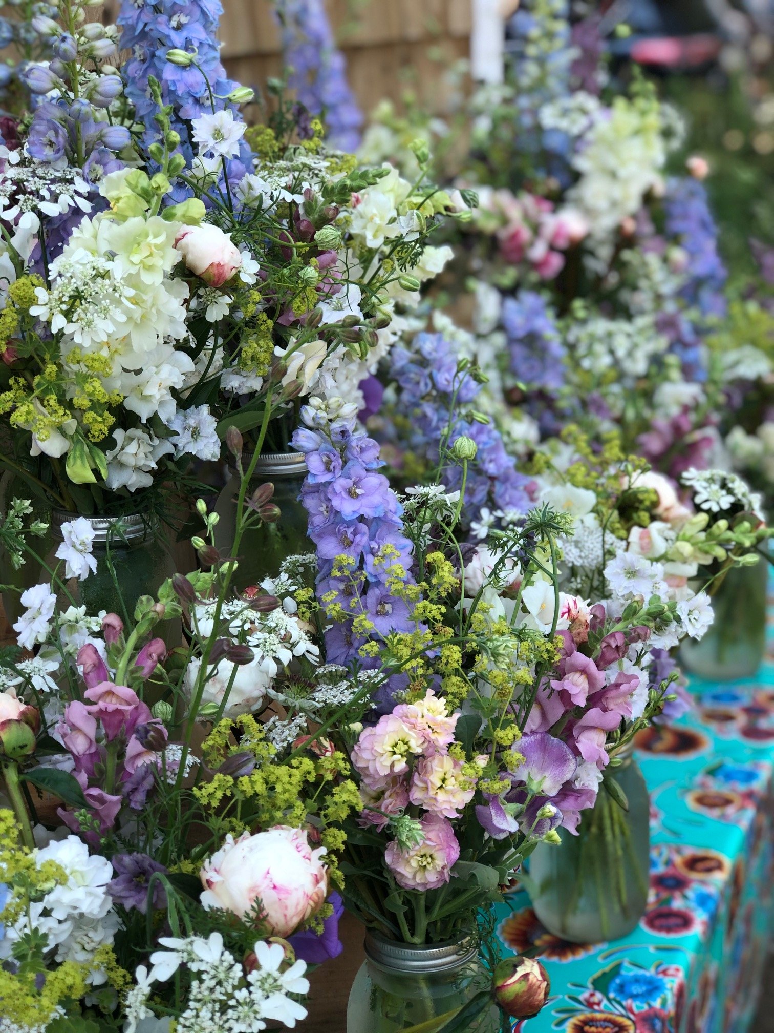 soft and fluffy spring csa bouquets