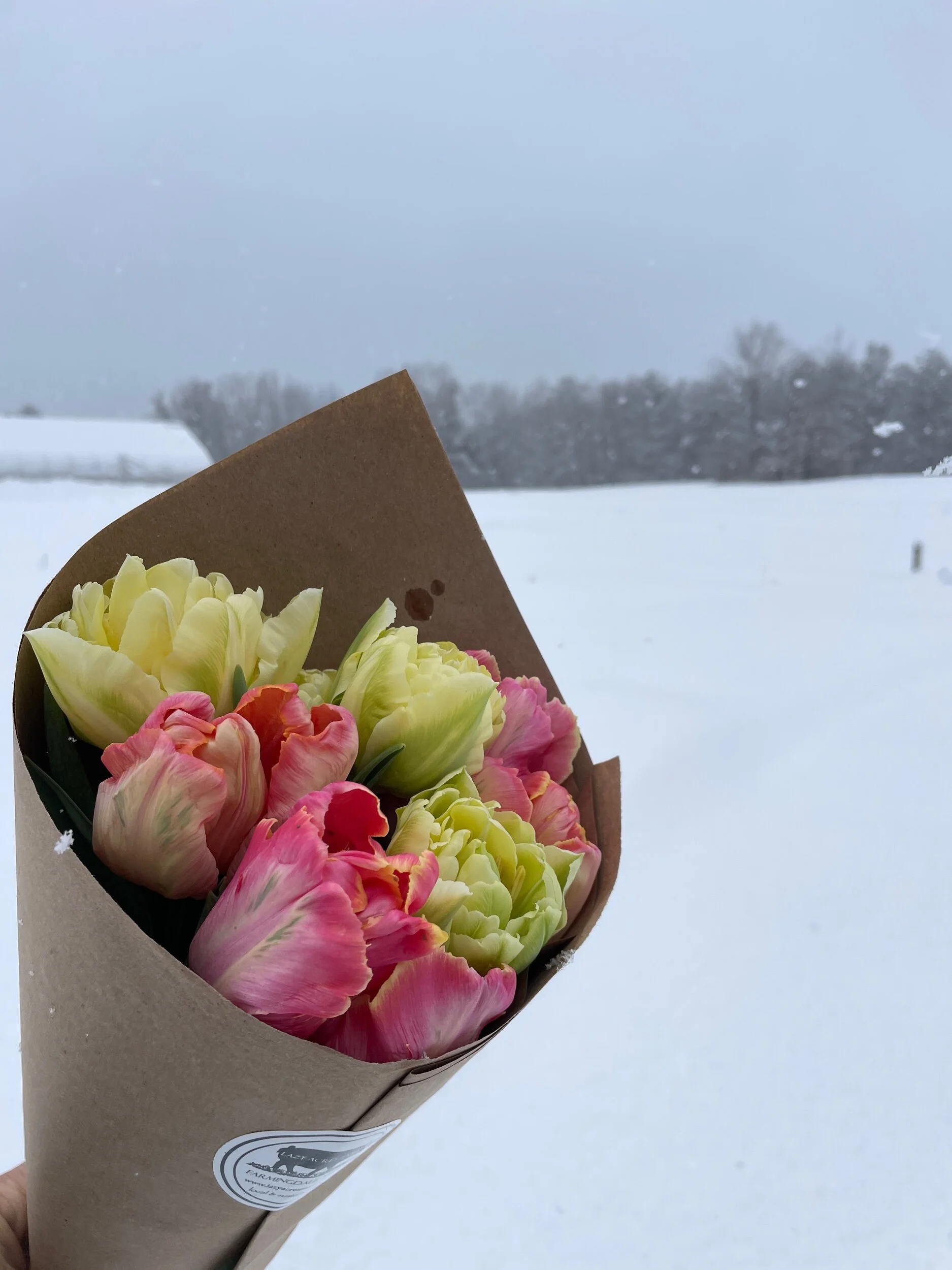 6898665A-F547-4C9A-A158-4FB955696A83