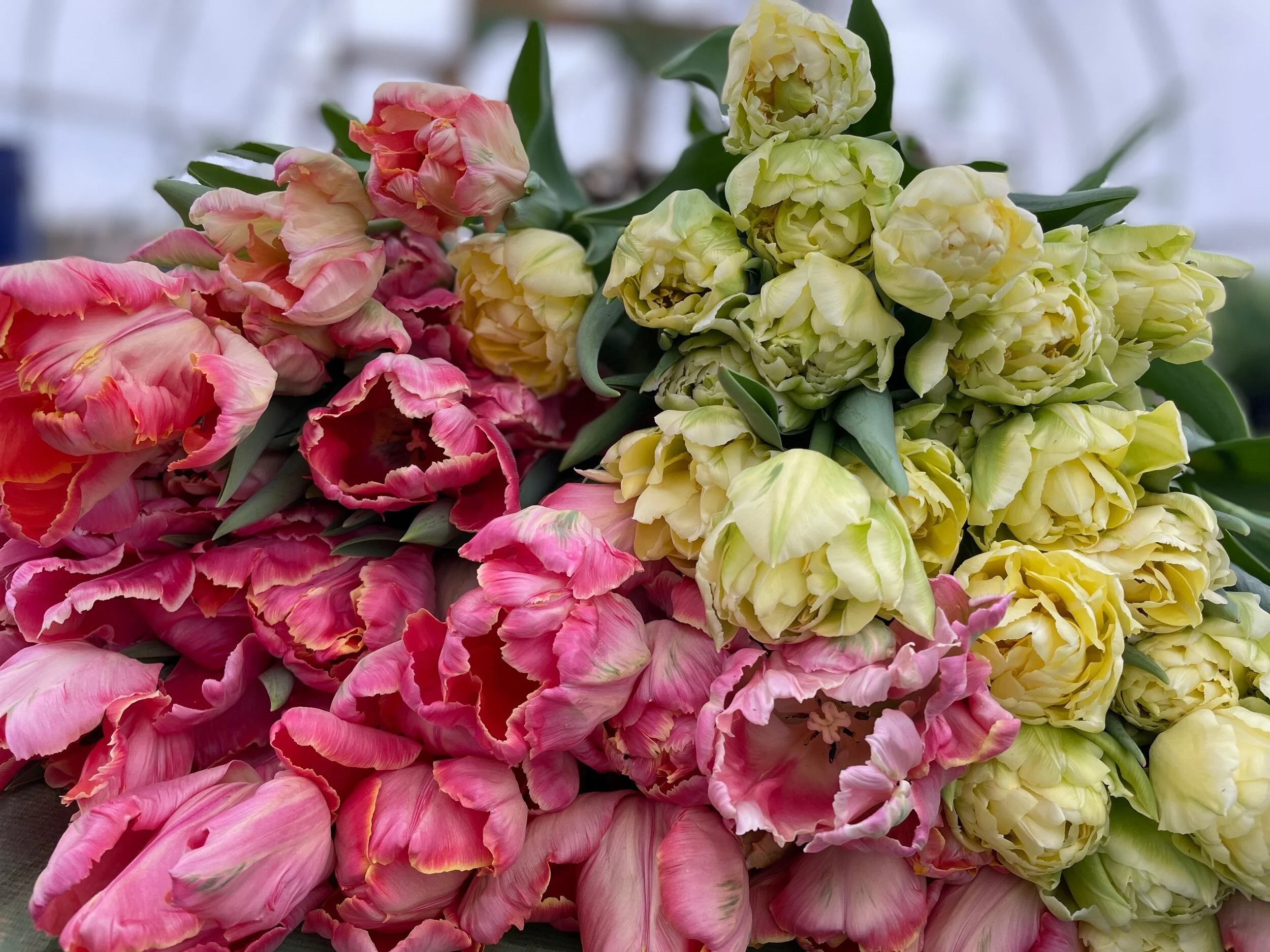 92771EB6-3198-44A5-94D5-1924DC04CACB