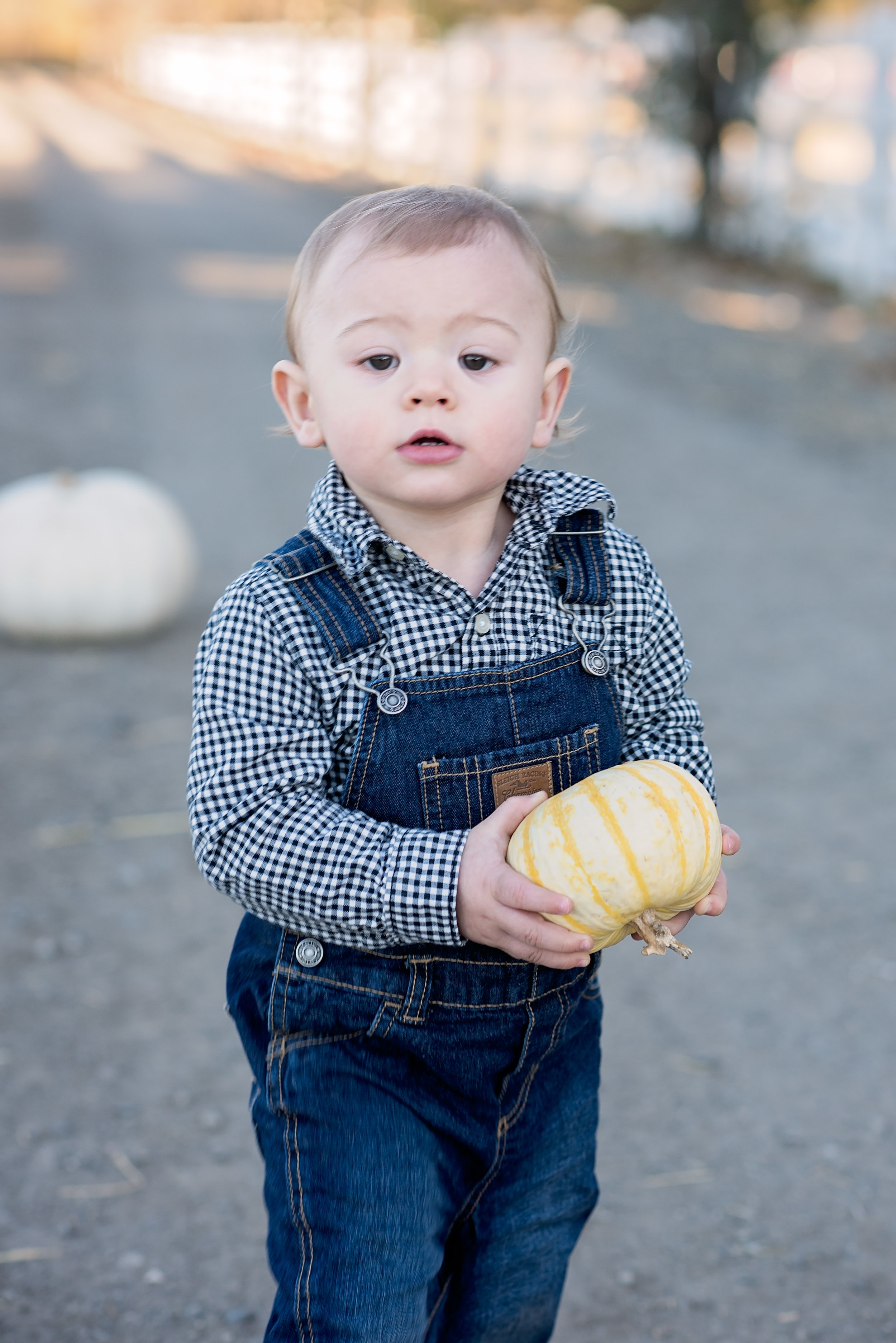 Monterey Country Children's Photographer